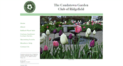 Desktop Screenshot of caudatowa.com